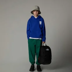 Dzieci The North Face Chłopięca Bluza O Kroju Oversize Z Kapturem I Grafiką Coordinates