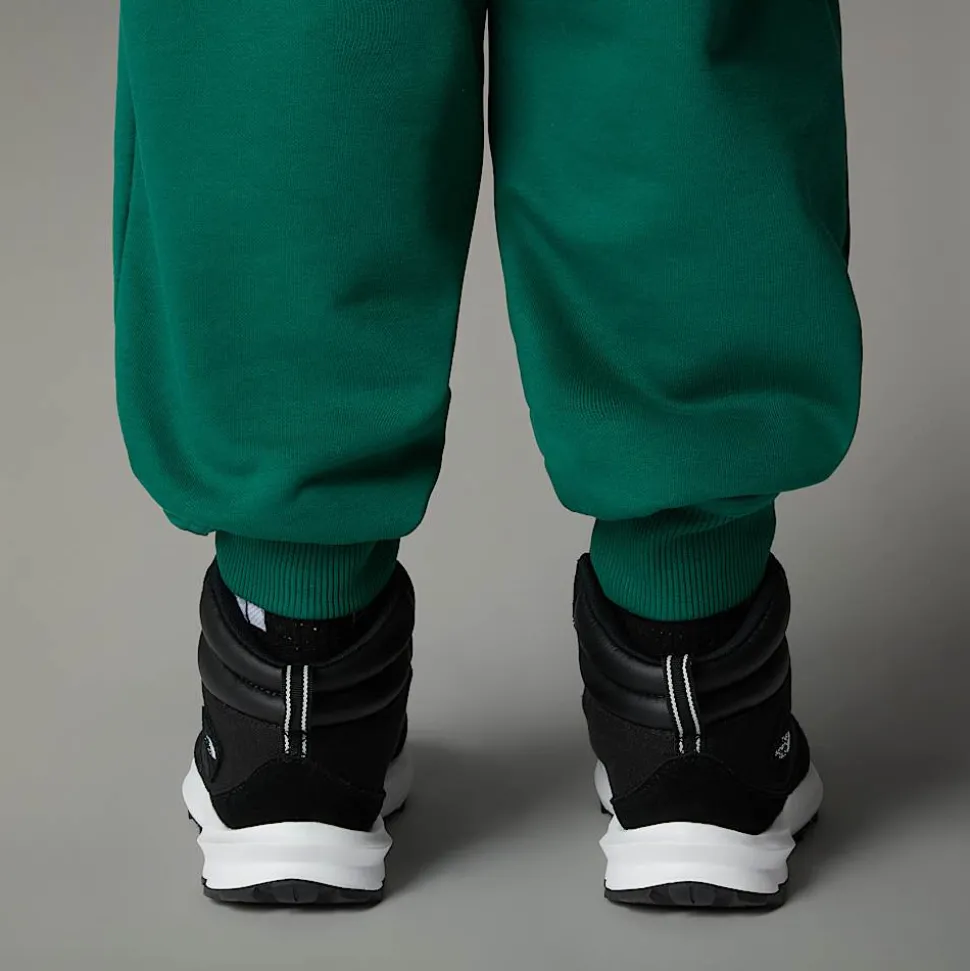 Dzieci The North Face Dziecięce Buty Turystyczne Back-To-Berkeley IV