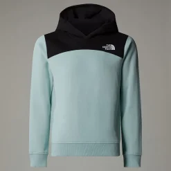 Dzieci The North Face Dziewczęca Bluza Z Kapturem I Logo Na Plecach Relaxed