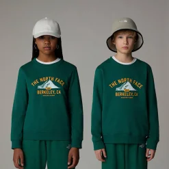 Dzieci The North Face Młodzieżowa Luźna Bluza Z Grafiką Varsity