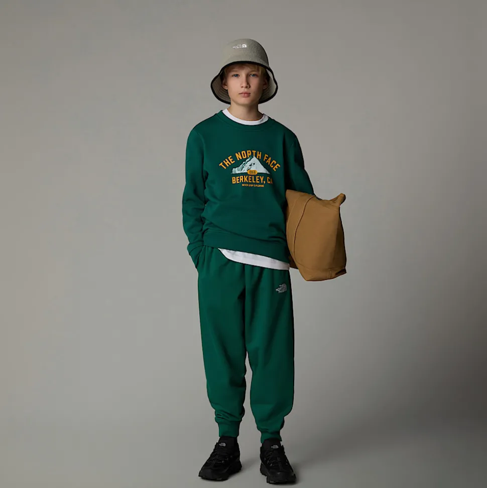 Dzieci The North Face Młodzieżowa Luźna Bluza Z Grafiką Varsity