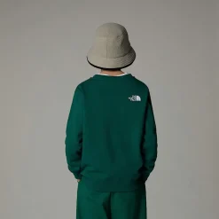Dzieci The North Face Młodzieżowa Luźna Bluza Z Grafiką Varsity
