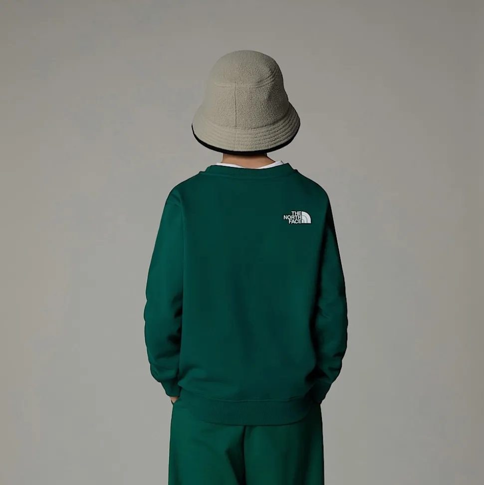 Dzieci The North Face Młodzieżowa Luźna Bluza Z Grafiką Varsity