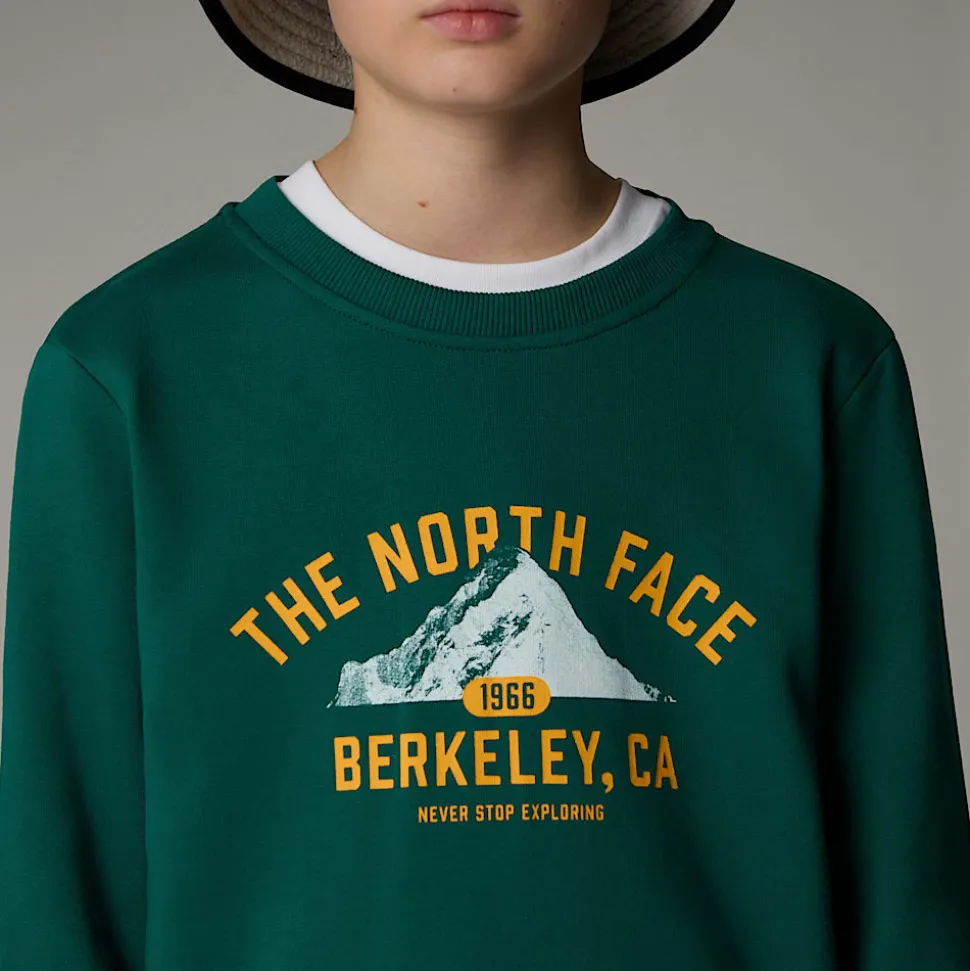 Dzieci The North Face Młodzieżowa Luźna Bluza Z Grafiką Varsity