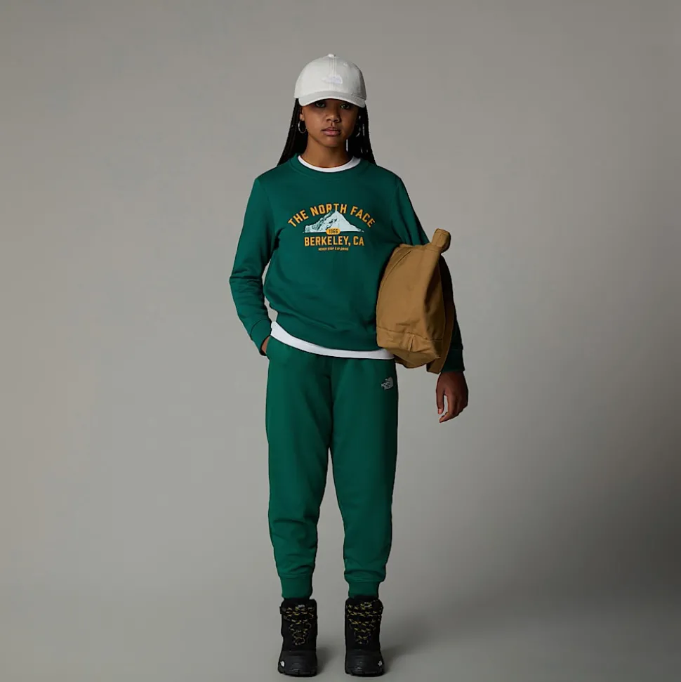 Dzieci The North Face Młodzieżowa Luźna Bluza Z Grafiką Varsity