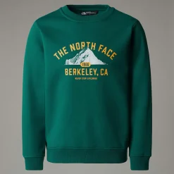 Dzieci The North Face Młodzieżowa Luźna Bluza Z Grafiką Varsity