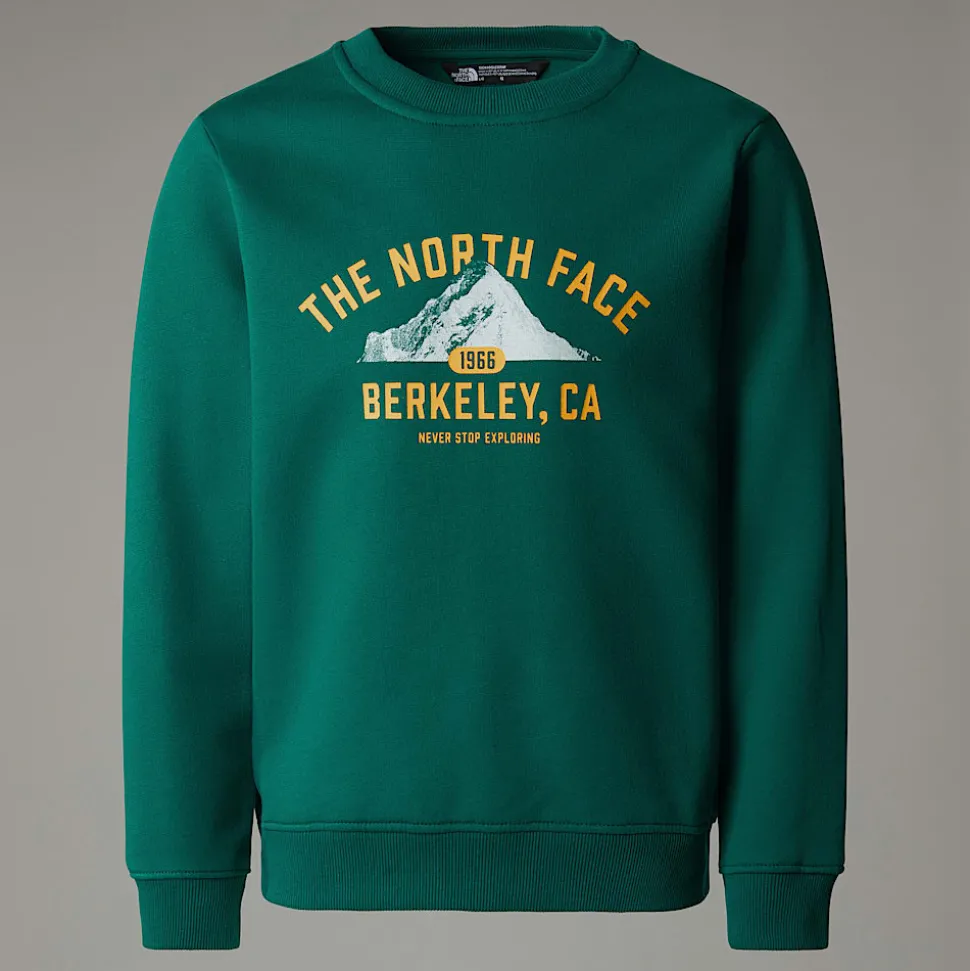 Dzieci The North Face Młodzieżowa Luźna Bluza Z Grafiką Varsity