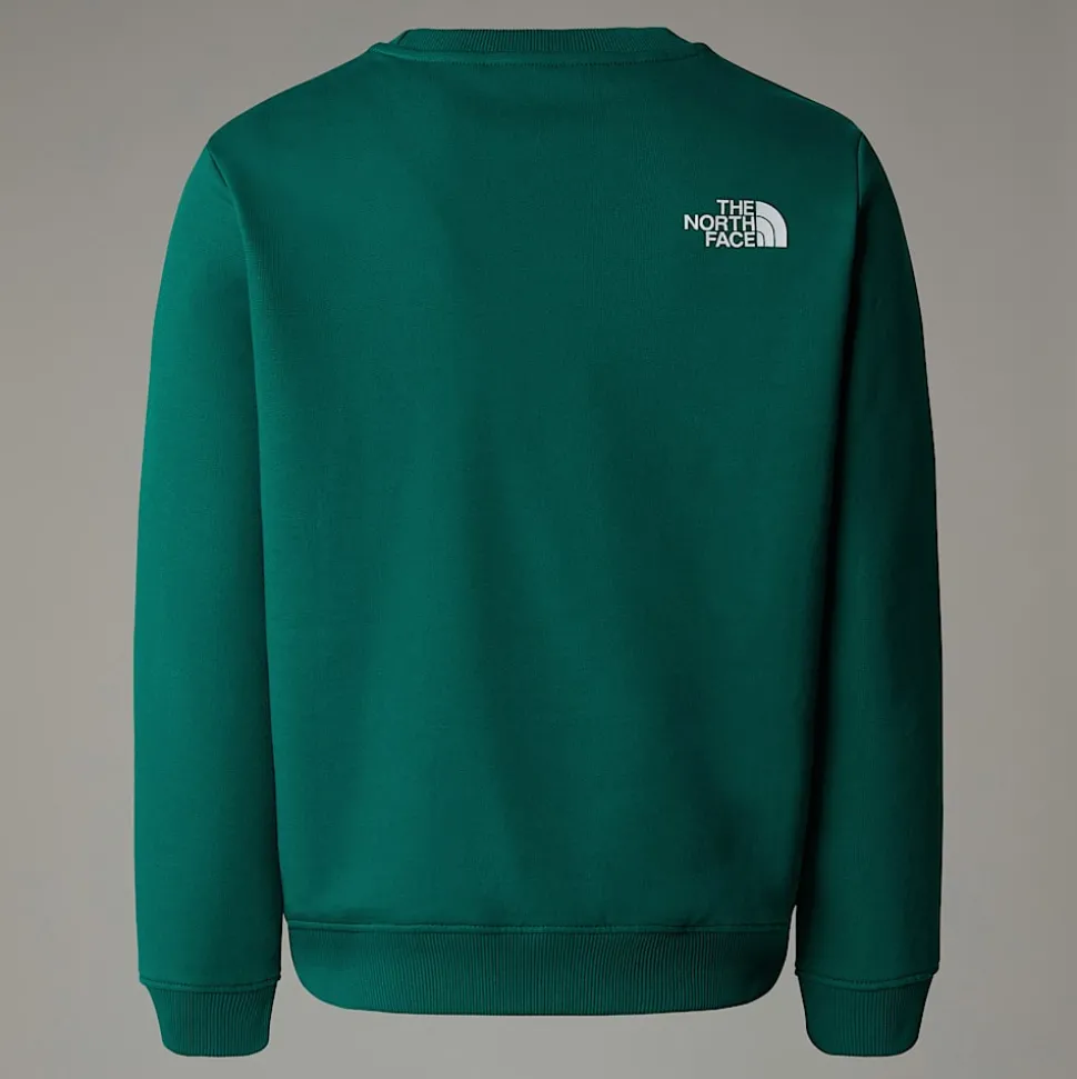 Dzieci The North Face Młodzieżowa Luźna Bluza Z Grafiką Varsity