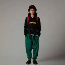 Dzieci The North Face Młodzieżowa Luźna Bluza Z Kapturem I Grafiką Varsity