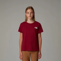 Dzieci The North Face Młodzieżowy T-shirt France Redbox
