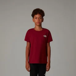 Dzieci The North Face Młodzieżowy T-shirt France Redbox