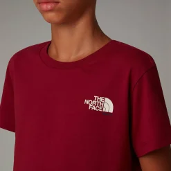 Dzieci The North Face Młodzieżowy T-shirt France Redbox