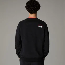 The North Face Męska Bluza Z Grafiką Expedition System