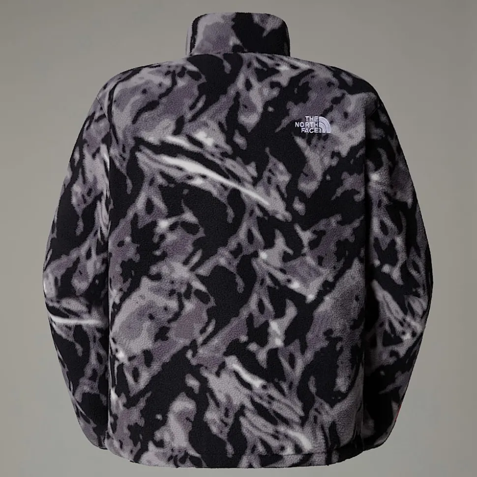 The North Face Męski Polar Z Zamkiem O Długości 1/4 Wkładany Przez Głowę TNF Fleeski