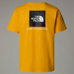 The North Face Męski T-shirt Redbox