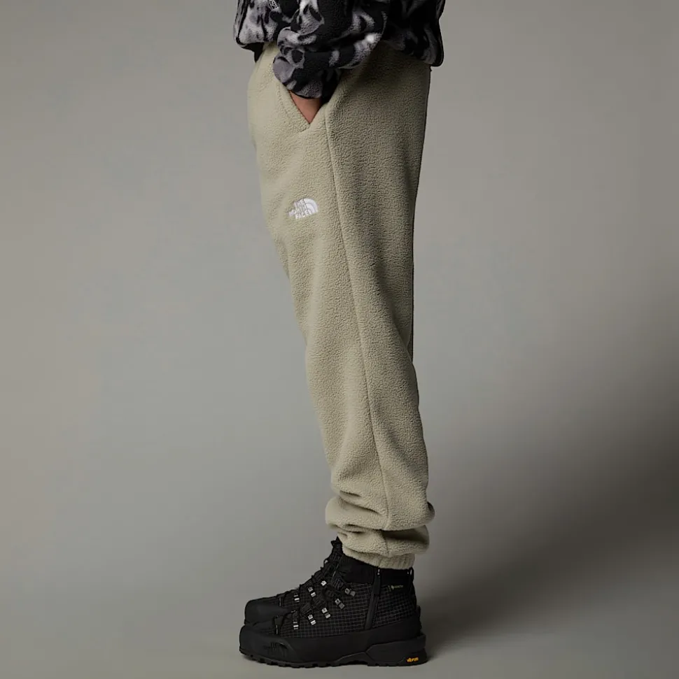 The North Face Męskie Joggersy TNF Fleeski