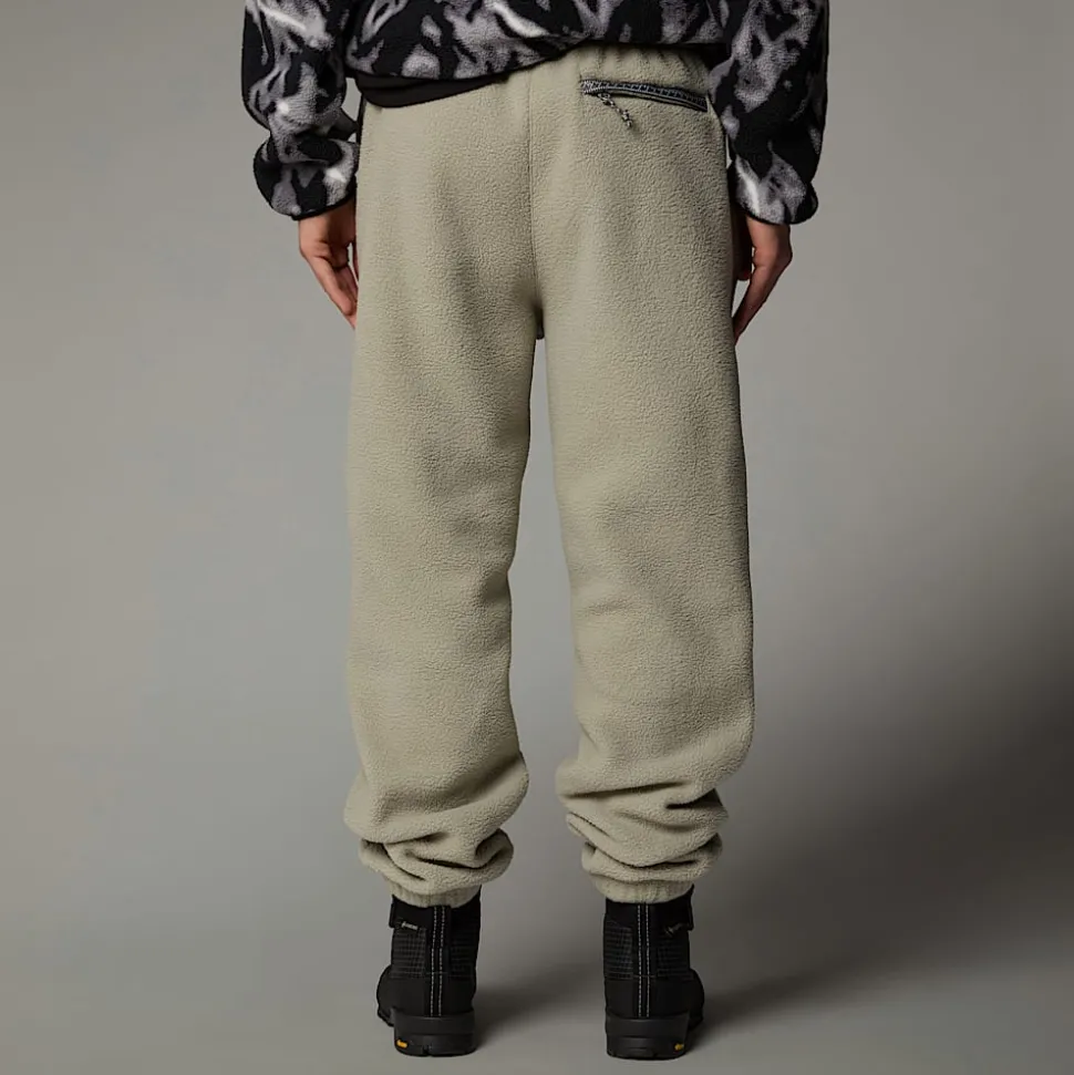 The North Face Męskie Joggersy TNF Fleeski