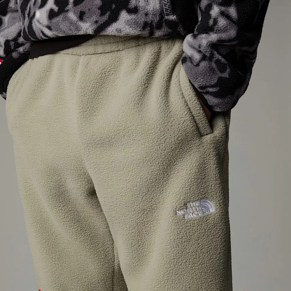 The North Face Męskie Joggersy TNF Fleeski