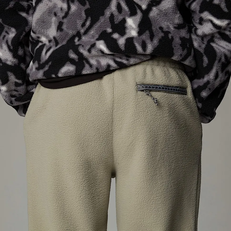 The North Face Męskie Joggersy TNF Fleeski