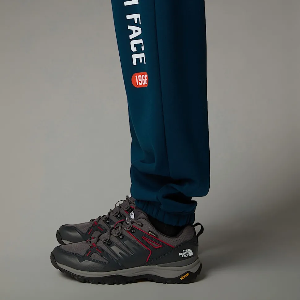 The North Face Męskie Joggersy Z Grafiką Varsity