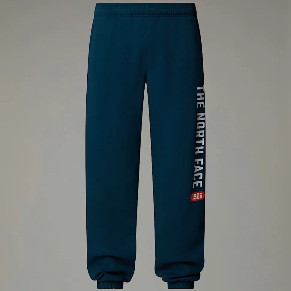 The North Face Męskie Joggersy Z Grafiką Varsity