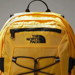 Damskie/Męskie The North Face Plecak Borealis Classic