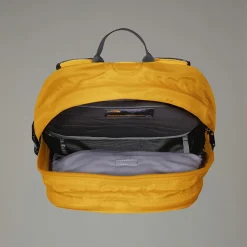 Damskie/Męskie The North Face Plecak Borealis Classic