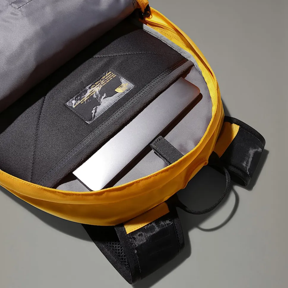 Damskie/Męskie The North Face Plecak Borealis Classic