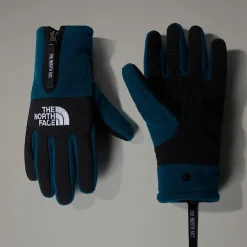 The North Face Rękawice Denali Etip™